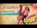 My Dear Tiger - 