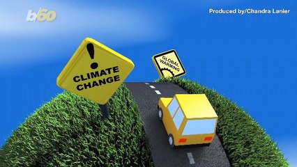 The Number One Reason You Should Go Vegan