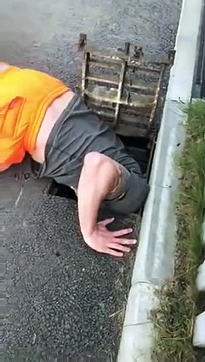 Il sauve des bébés canards des égouts devant leur mère !