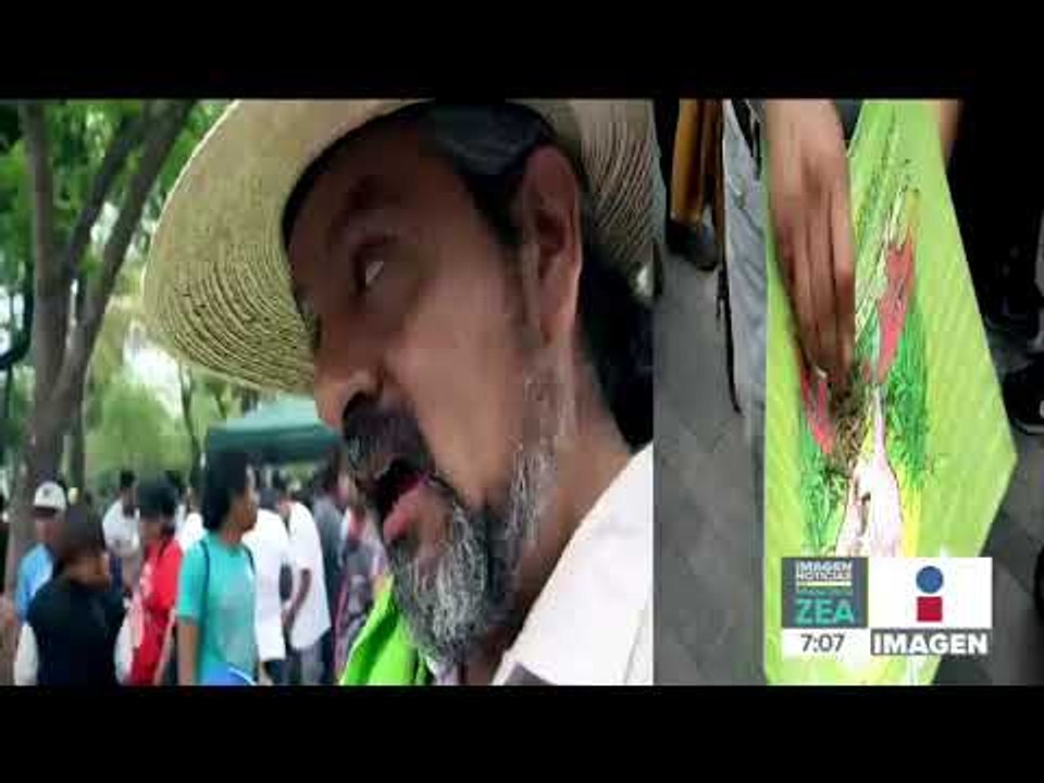 Marchan por la legalización de la marihuana en la Ciudad de México | Noticias con Paco Zea