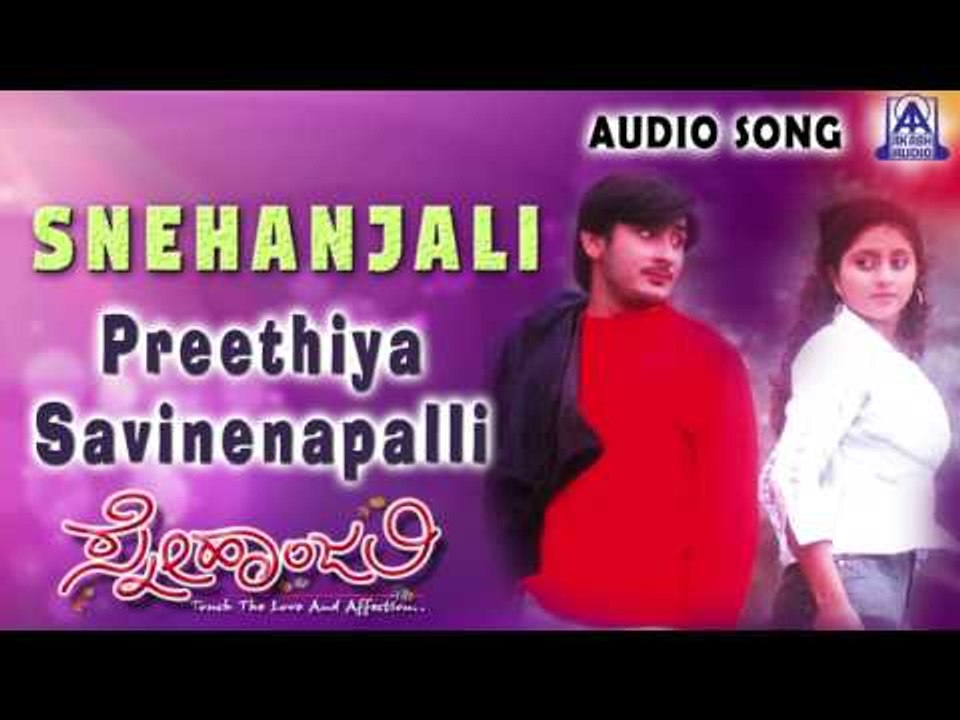 Snehanjali | "Preethiya Savinenapalli " Audio Song | Dhruv,Anju Varma | Akash Audio