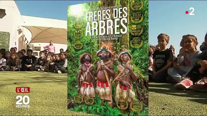 La ville de Vence est contre la déforestation... mais favorable à sa terrasse en bois d'Amazonie