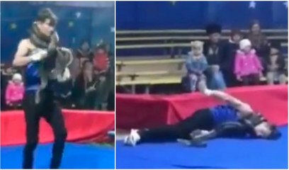 فيديو: لحظات مرعبة لثعبان ضخم يلتف حول رقبة مدربه ويخنقه أمام جمهور