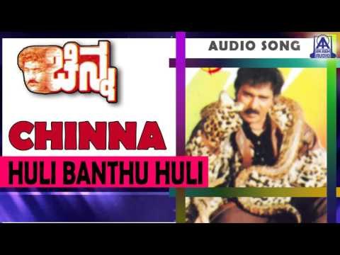 Chinna- Huli Banthu Huli Banthu Audio Song I Ravichandran, Yamuna I Akash Audio