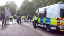 Arrest drama at Buckingham Palace after royal baby announcement