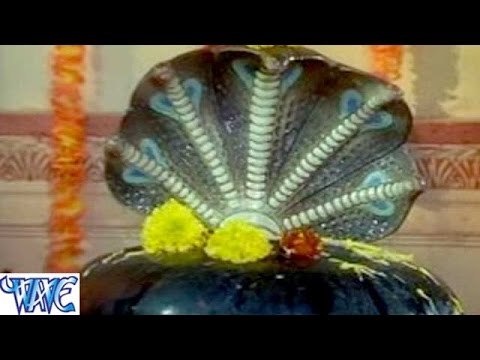 डम डम डमरू बजावेलन जोगिया || Ye Yadav Ji || Mai Nagin Tu Nagina || Bhojpuri Bhakti Songs 2015 New