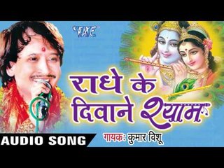 बरसाने की राधा | Barsane Ki Radha Ne | Radhe Ke Diwane Shyam | Kumar Vishu | Hindi Krishan Bhajan