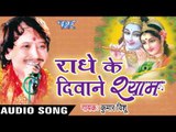 यमुना पे जब | Yamuna Pe Jab Kanha | Radhe Ke Diwane Shyam | Kumar Vishu | Hindi Krishan Bhajan