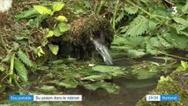 Côte-d'Or : un village vit sans eau potable depuis deux ans