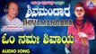 ಈಶ್ವರಭಕ್ತಿಗೀತೆಗಳು - Om Namah Shivaya | Shivamandara | Kannada Devotional Songs | Akash Audio