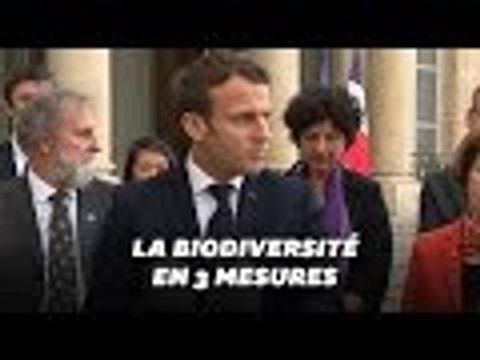 Les trois mesures d'Emmanuel Macron pour la biodiversité