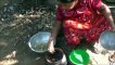 Village des Aliments - Cuisson de Graines de Jacquier de Curry dans mon Village par ma Maman