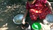Village des Aliments - Cuisson de Graines de Jacquier de Curry dans mon Village par ma Maman