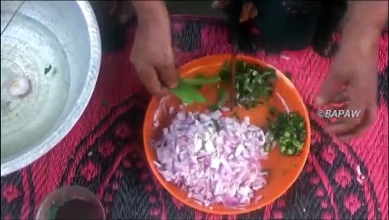 Village des Aliments - Serpent Gourde Escalopes de préparés dans mon Village par ma Maman