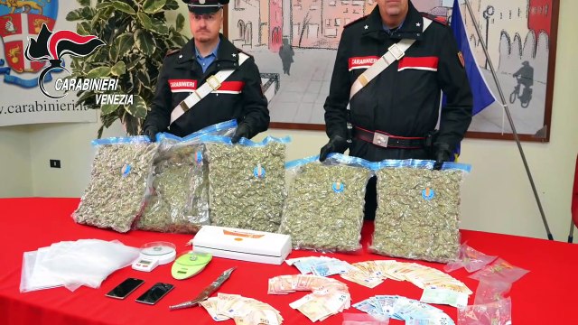 Smantellata Rete internazionale di spaccio - Carabinieri - Veneto