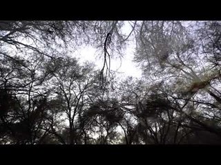 الصلاة والسلام على نبينا تعطرني وسلامو وفيضو تمطرني عمل مختلف في محبه المولى عز وجل #رمضانا_سوداني