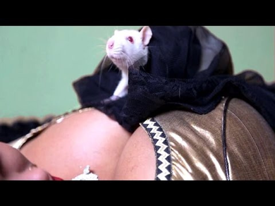 चोलिये में घुसल बड़का मूस - Gori Center Me Aawa Ho - Bholu Pathak - Bhojpuri Hit Songs 2016