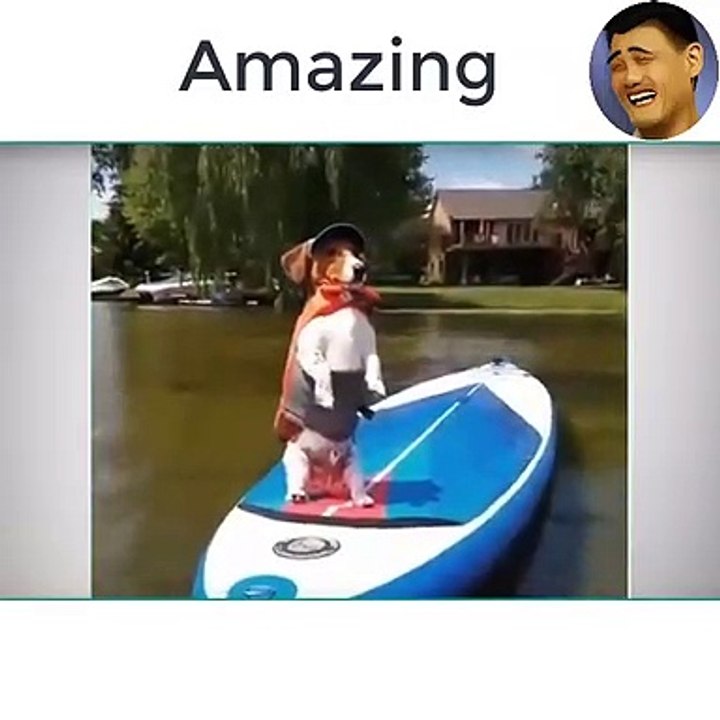 best cute