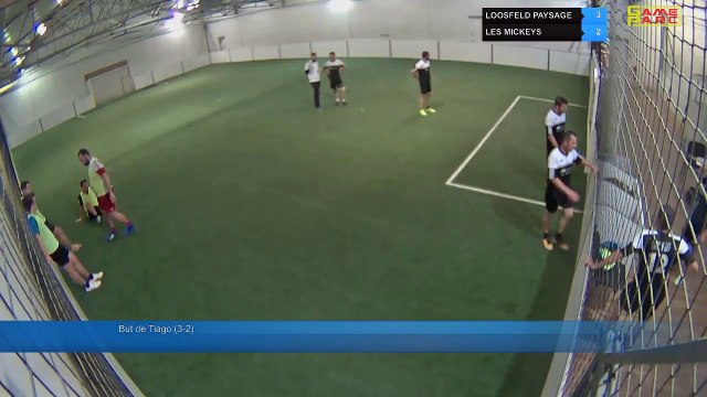 LOOSFELD PAYSAGE Vs LES MICKEYS - 06/05/19 19:00 - LIGUE 4 - Poitiers Game Parc