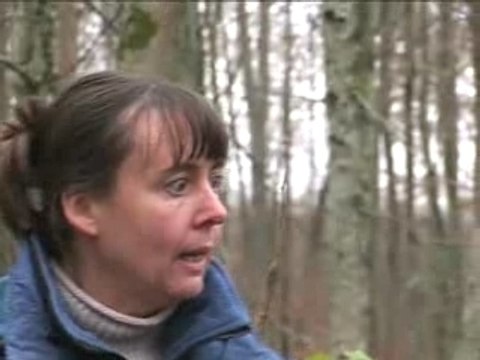 Archéologie : la Gaule vue du ciel