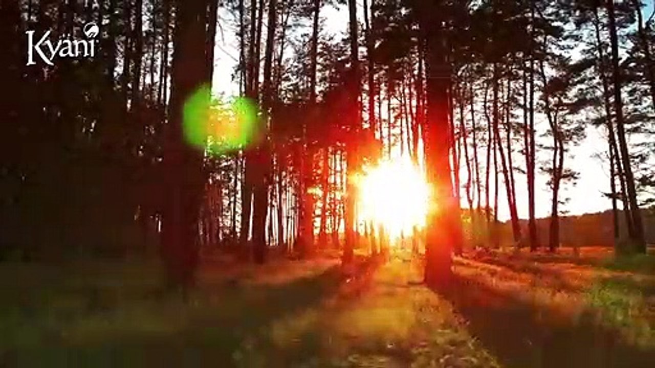 Kyani Sahtekarlığı