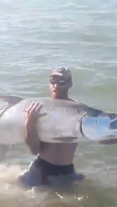 Fishing was very big and pulled away