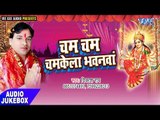 चम चम चमकेला - Cham Cham Chamkela Bhawanwa - Vikash Rai - Audio Jukebox - Devi Geet