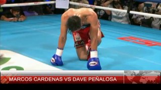 MARCOS CARDENAS VS DAVE PEÑALOSA | BOXING