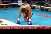 MARCOS CARDENAS VS DAVE PEÑALOSA | BOXING