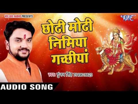 छोटी मोटी निमिया गछिया - Hokhela Poojanwa - Gunjan singh - Mata Bhajan 2017