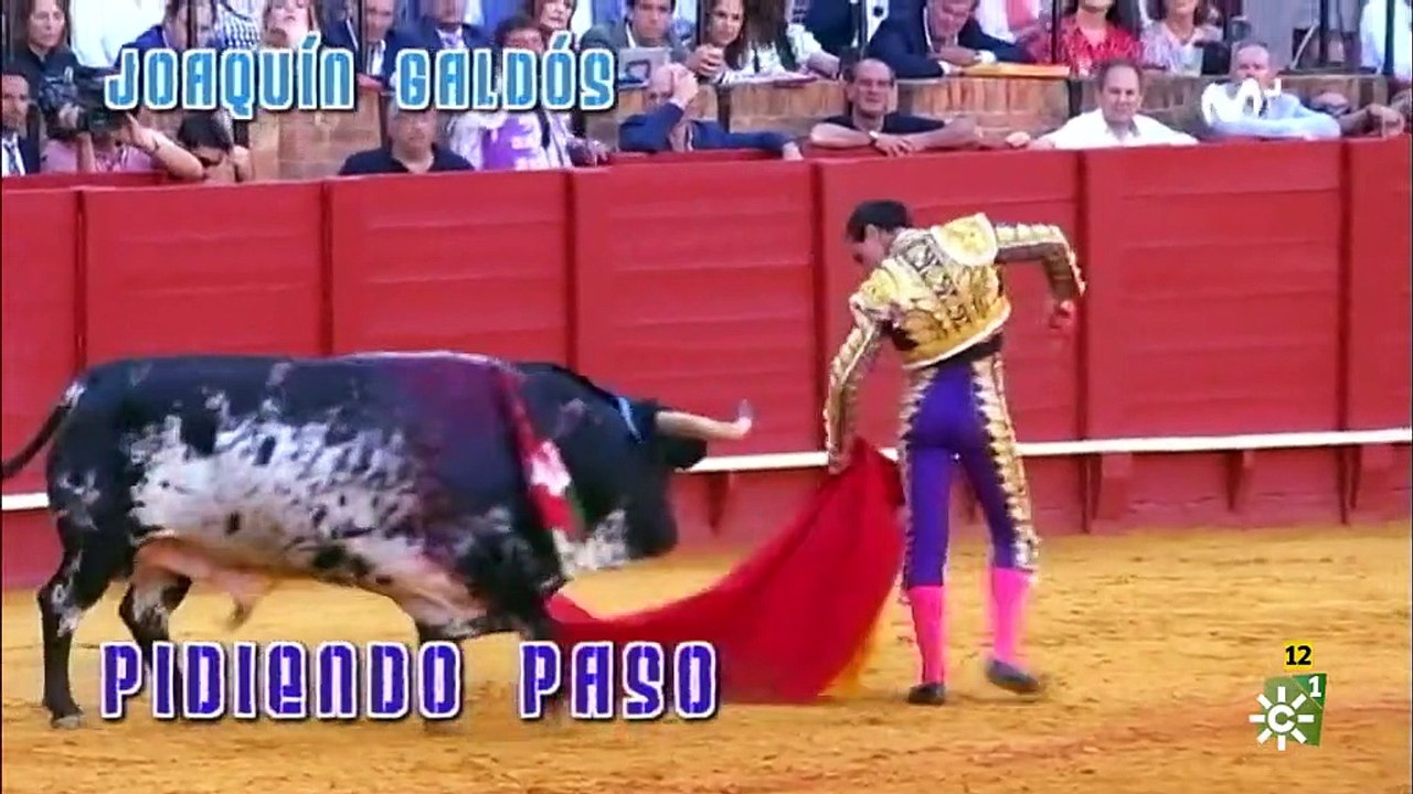 Toros para todos. Programa completo. 05-05-2019.