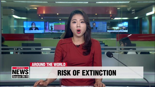 One million species at risk of extinction, with humans accelerating its speed: UN report