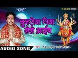 2017 का हिट देवी गीत - Mai Kali Rupwa Dhaleli - Tinku Tiger - Audio Jukebox