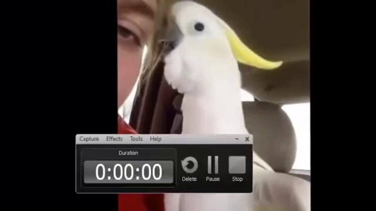 If you laugh, you lose videos of laughter