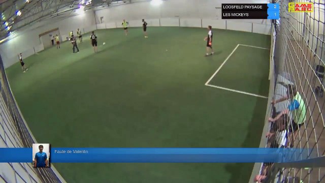 Faute de Valentin - LOOSFELD PAYSAGE Vs LES MICKEYS - 06/05/19 19:00 - LIGUE 4 - Poitiers Game Parc