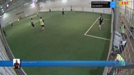 But de Tiago (3-2) - LOOSFELD PAYSAGE Vs LES MICKEYS - 06/05/19 19:00 - LIGUE 4