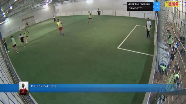 But de Alexandre (3-5) - LOOSFELD PAYSAGE Vs LES MICKEYS - 06/05/19 19:00 - LIGUE 4
