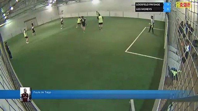 Faute de Tiago - LOOSFELD PAYSAGE Vs LES MICKEYS - 06/05/19 19:00 - LIGUE 4 - Poitiers Game Parc