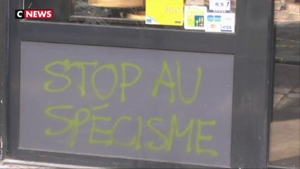 Boucheries : quelle défense contre les anti-spécistes ?