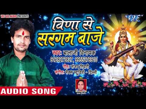 वीणा से सरगम बाजे - Veena Se Sargam Baje - Balaji Vinayak - Saraswati Bhajan 2018