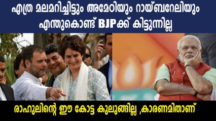 അമേഠിയും റായ്ബറേലിയും കോണ്‍ഗ്രസ് നിലനിര്‍ത്താന്‍ കാരണമെന്ത്?