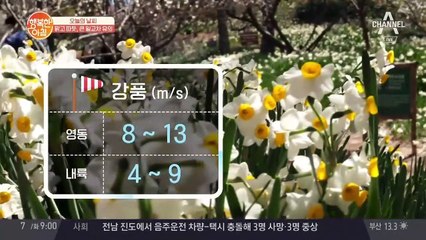 [날씨] '맑은 봄 햇살' 하지만 낮과 밤 '큰 일교차'에 주의