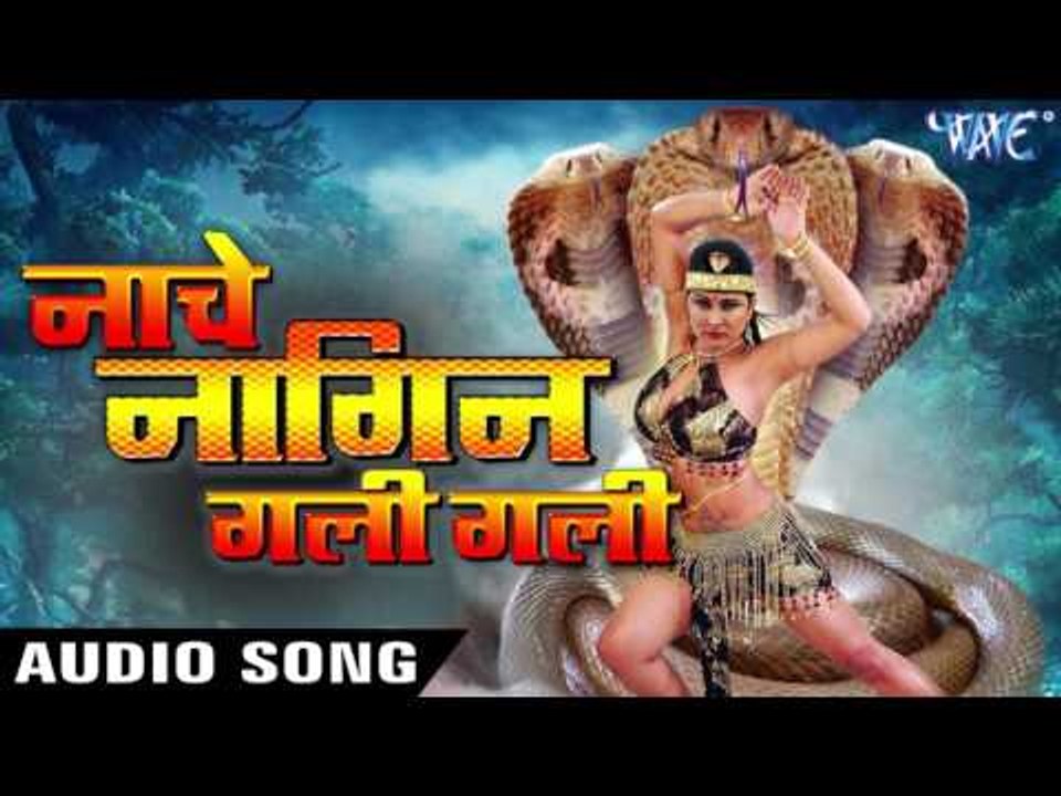 2017 Ka नया सबसे हिट गाना - Priyanka Pandit - Nache Nagin Gali - Bhojpuri Hit Song 2017