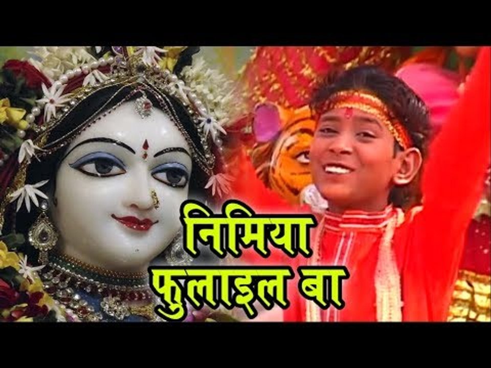 बहुत ही मीठा देवी भजन - निमिया फुलाइल बा II देवी गीत