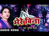 NEW HINDI SAD SONG 2017 - Sunita Pathak - Mere Bina - Who Bhee Dil Tod Gaya - Superhit Hindi Songs