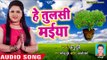 Anu Dubey का हिट तुलसी माता भजन - Bhajan Ganga - Anu Dubey - Bhakti Bhajan 2018