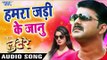 2017 का सबसे हिट गाना - Pawan Singh - Hamra Jari Ke Janu - Ham Hai Lootere - Bhojpuri Hit Songs