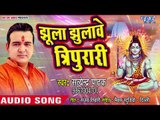 झुला झुलावा त्रिपुरारी - Shiv Shambhu Damrudhari - Satendra Pathak - Bhojpuri Kanwar 2018