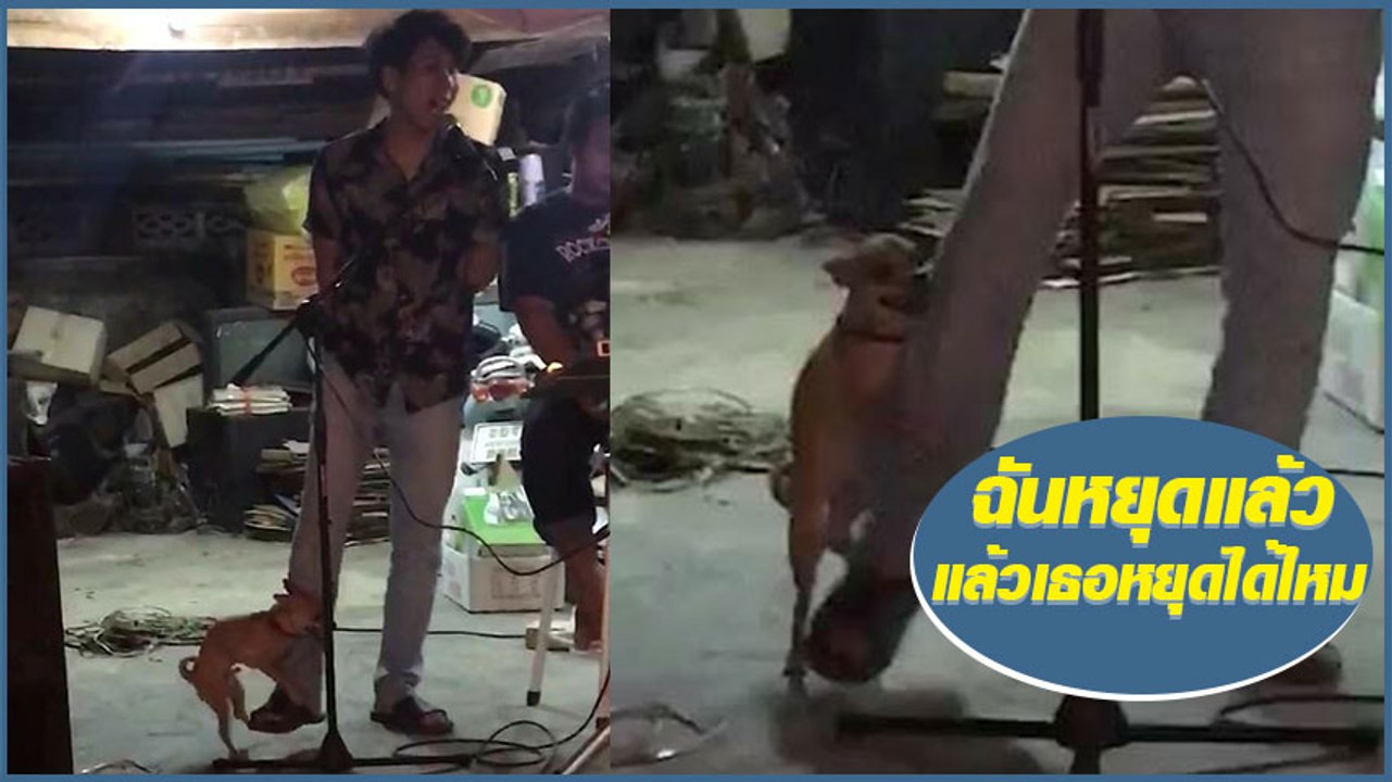 แชร์สนั่น !! คลิปสุดขำ ฉันหยุดแล้ว แล้วเธอหยุดได้ไหม
