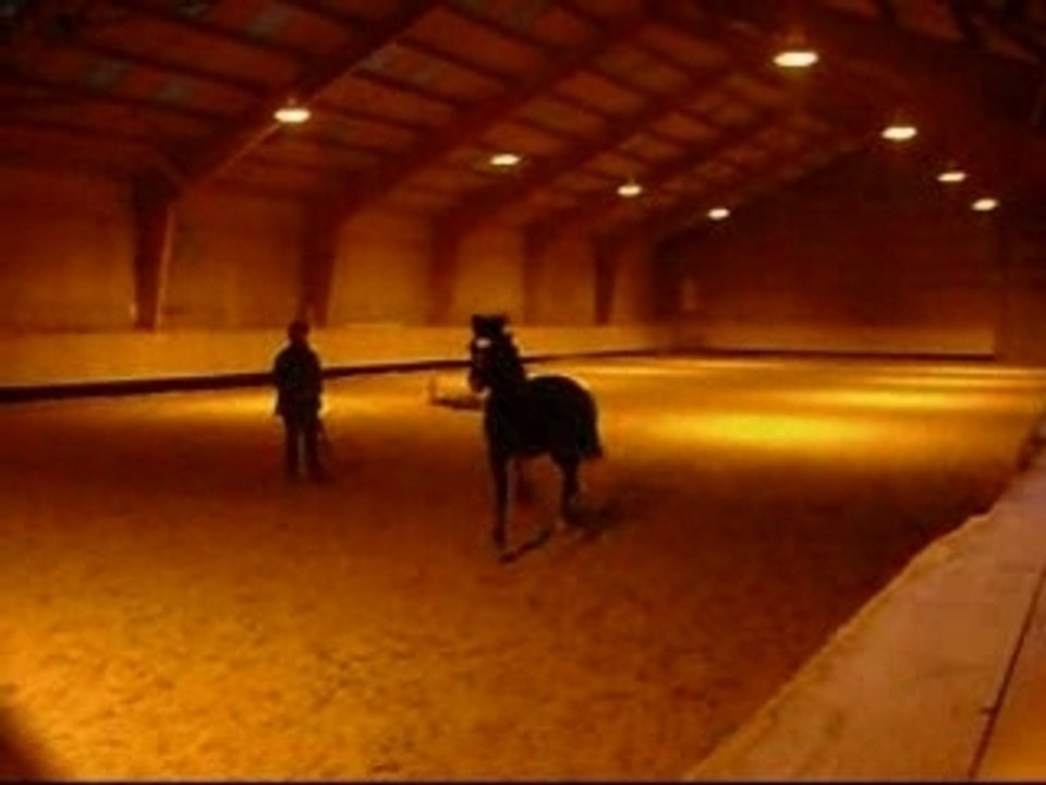 Poney de luce